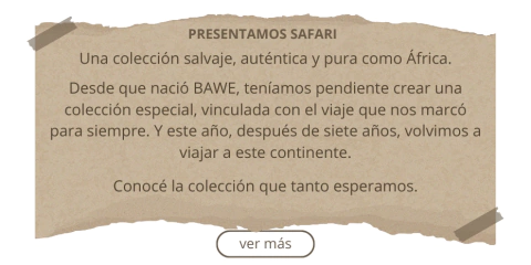 Banner de BAWE | without limits